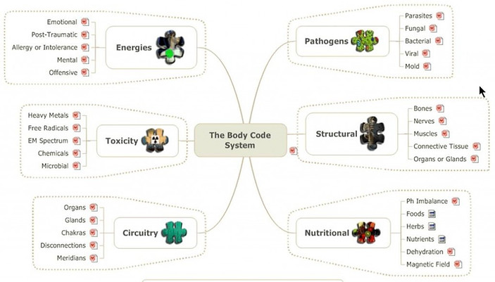 Budy Code What is Body Code? | HelpingHealer