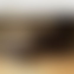 「ショパン＆シューマン」が「レーコード芸術」で準特選に選ばれました。