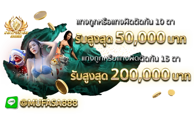 แทงถูกผิด.webp