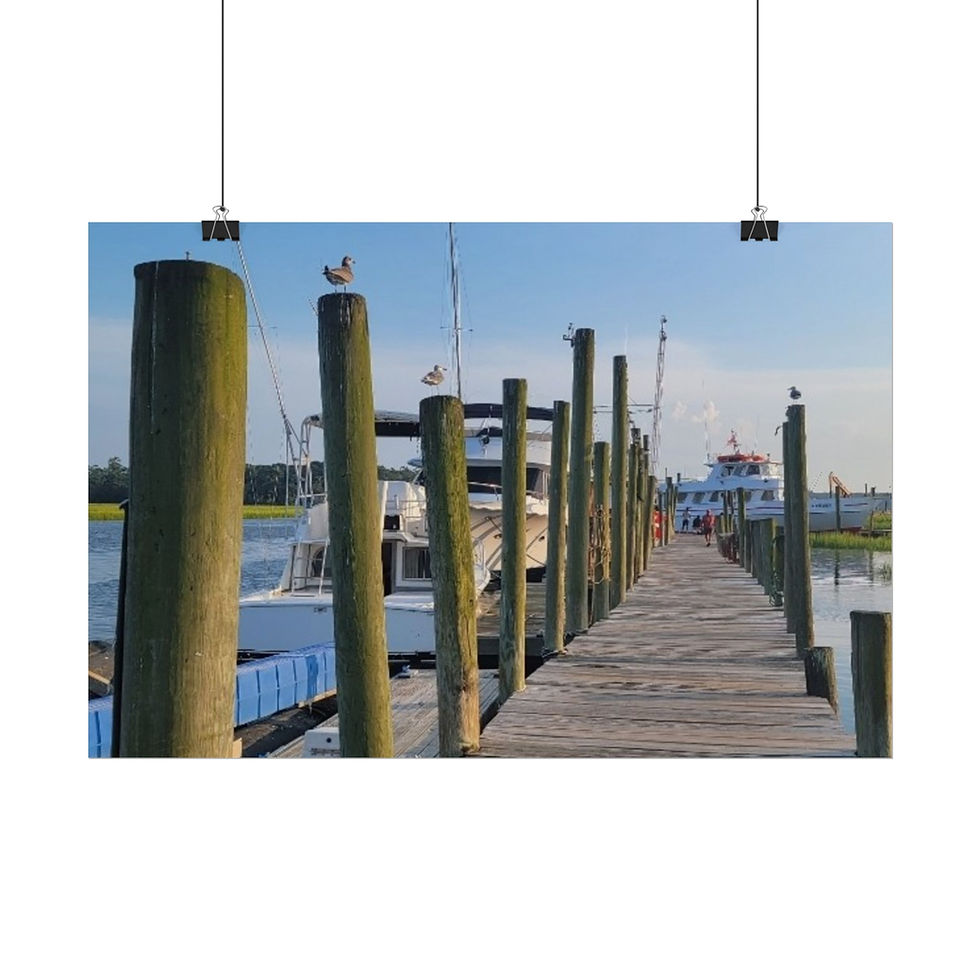Thumbnail: Calabash Waterfront Rolled Poster