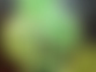New Painting, "Ten Watermelons"