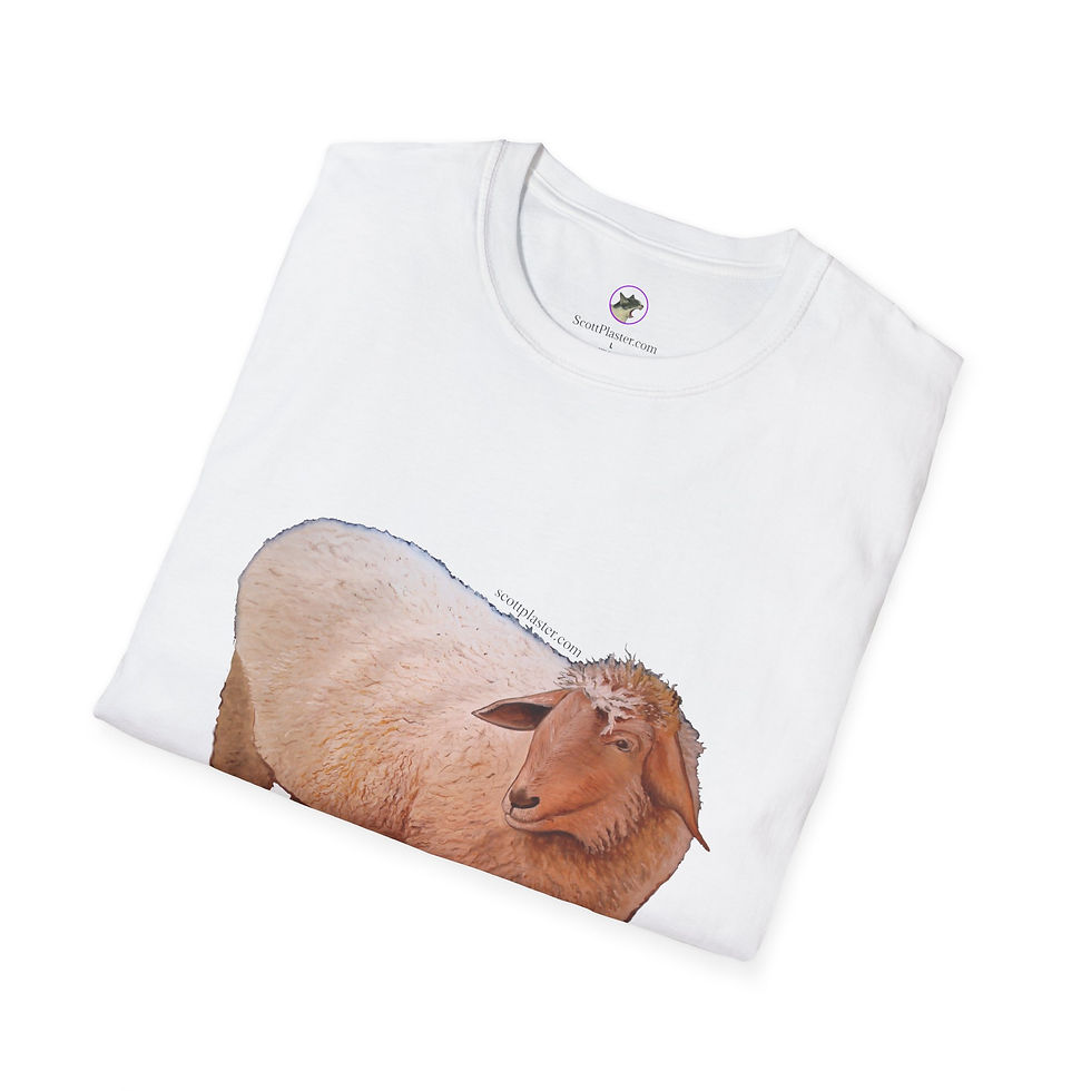 Thumbnail: Shaggy Sheep - T-Shirt