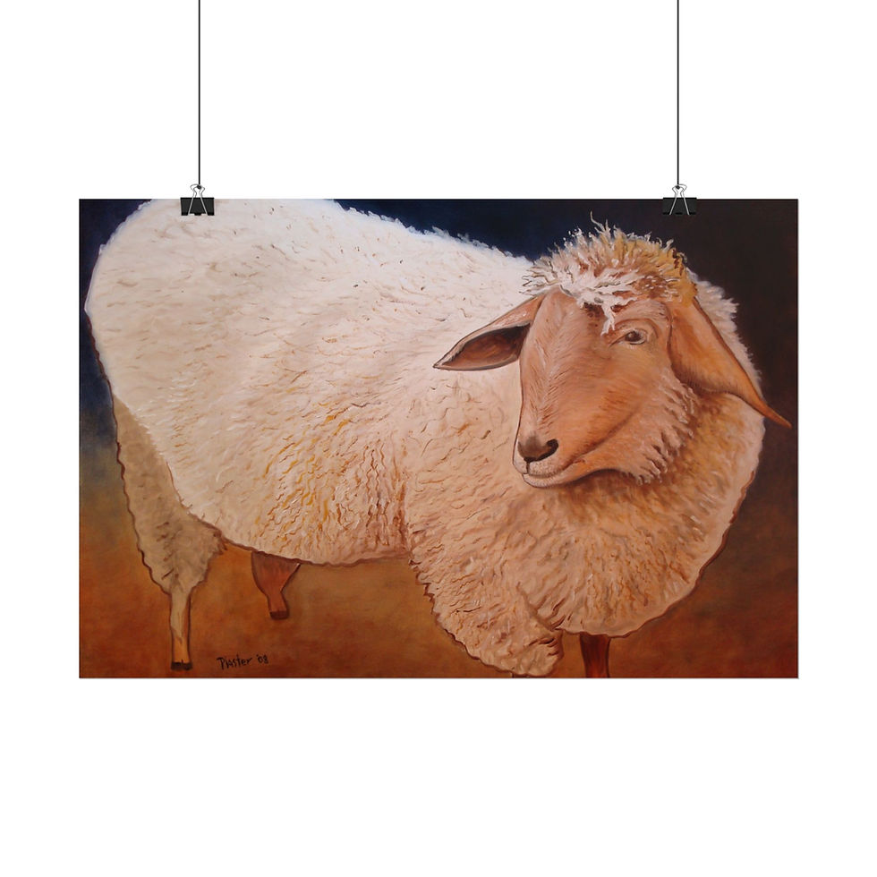 Thumbnail: Shaggy Sheep - Rolled Poster