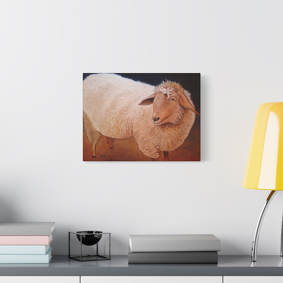 Thumbnail: Shaggy Sheep - Canvas
