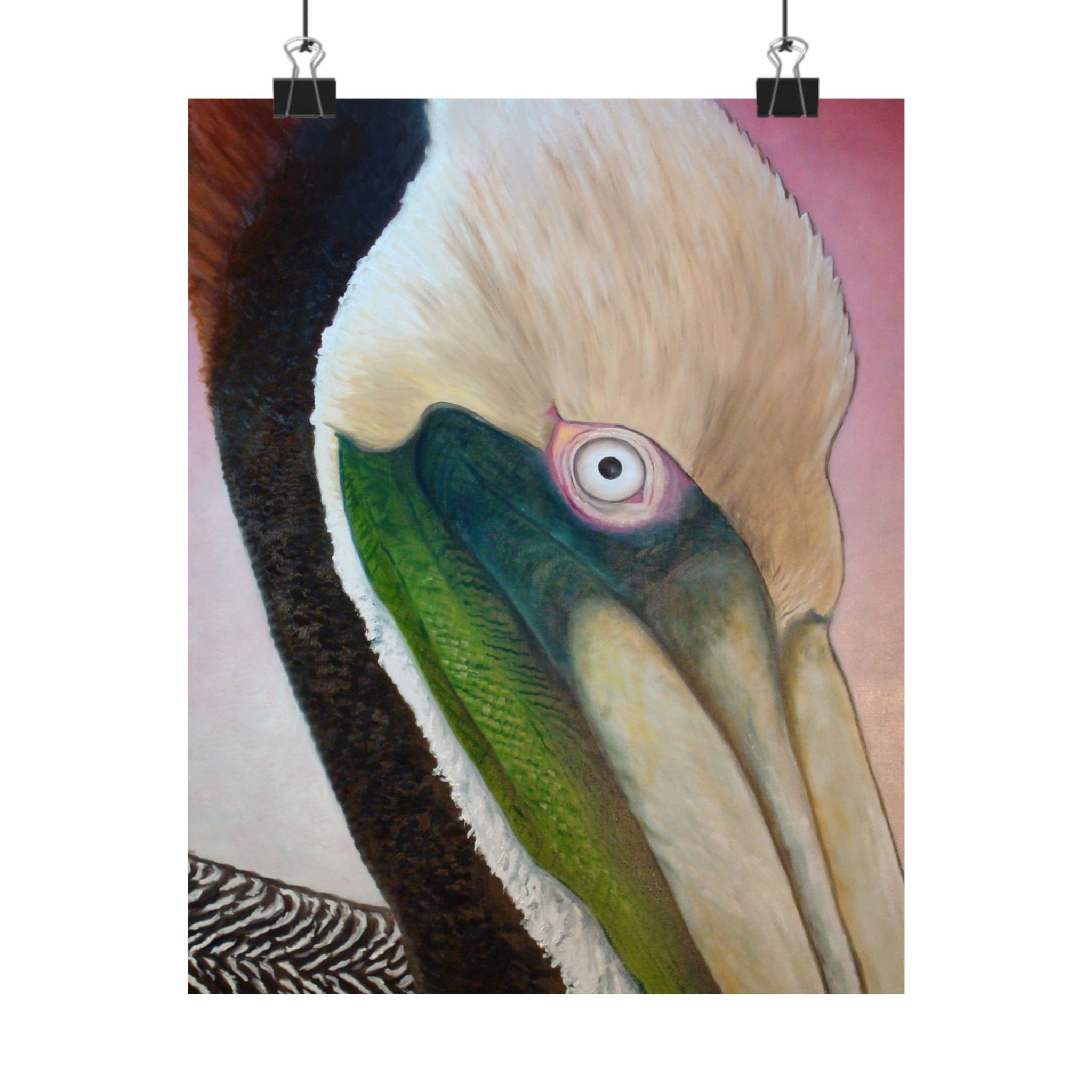 Pelican Peeking Poster