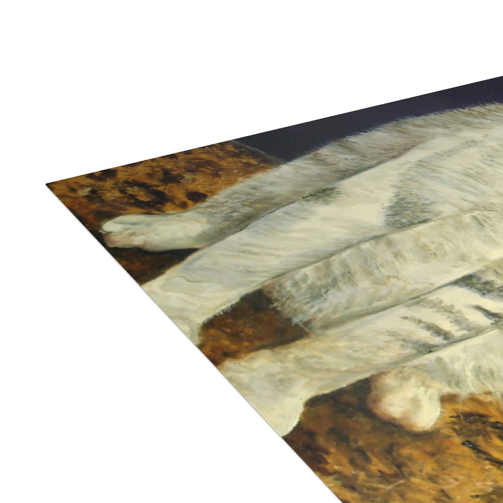 Thumbnail: Cry Baby - Postcard