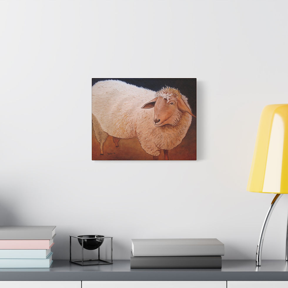 Thumbnail: Shaggy Sheep - Canvas