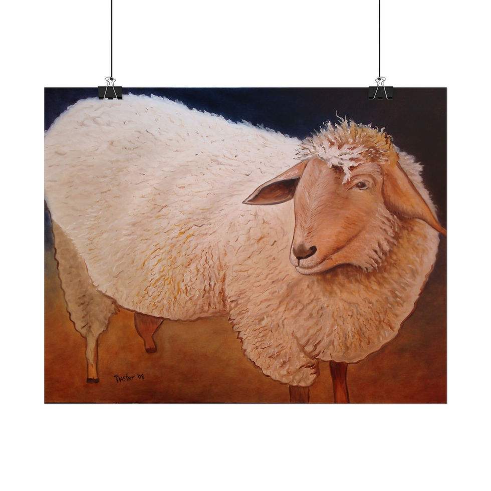 Thumbnail: Shaggy Sheep - Rolled Poster