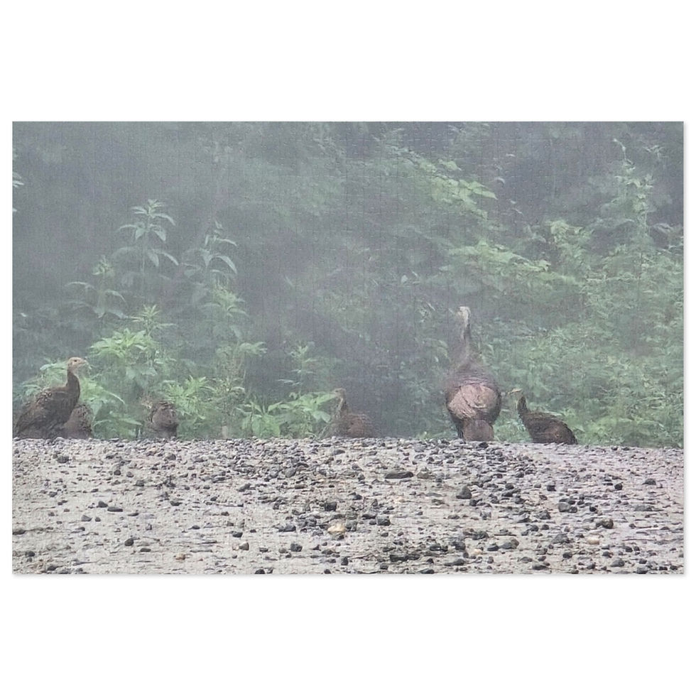 Thumbnail: Turkey Crossing - Jigsaw Puzzle