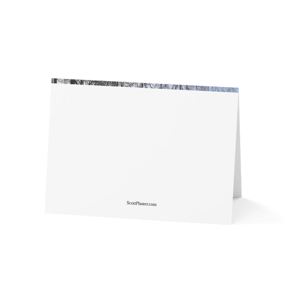 Thumbnail: Ararat River - Greeting Card