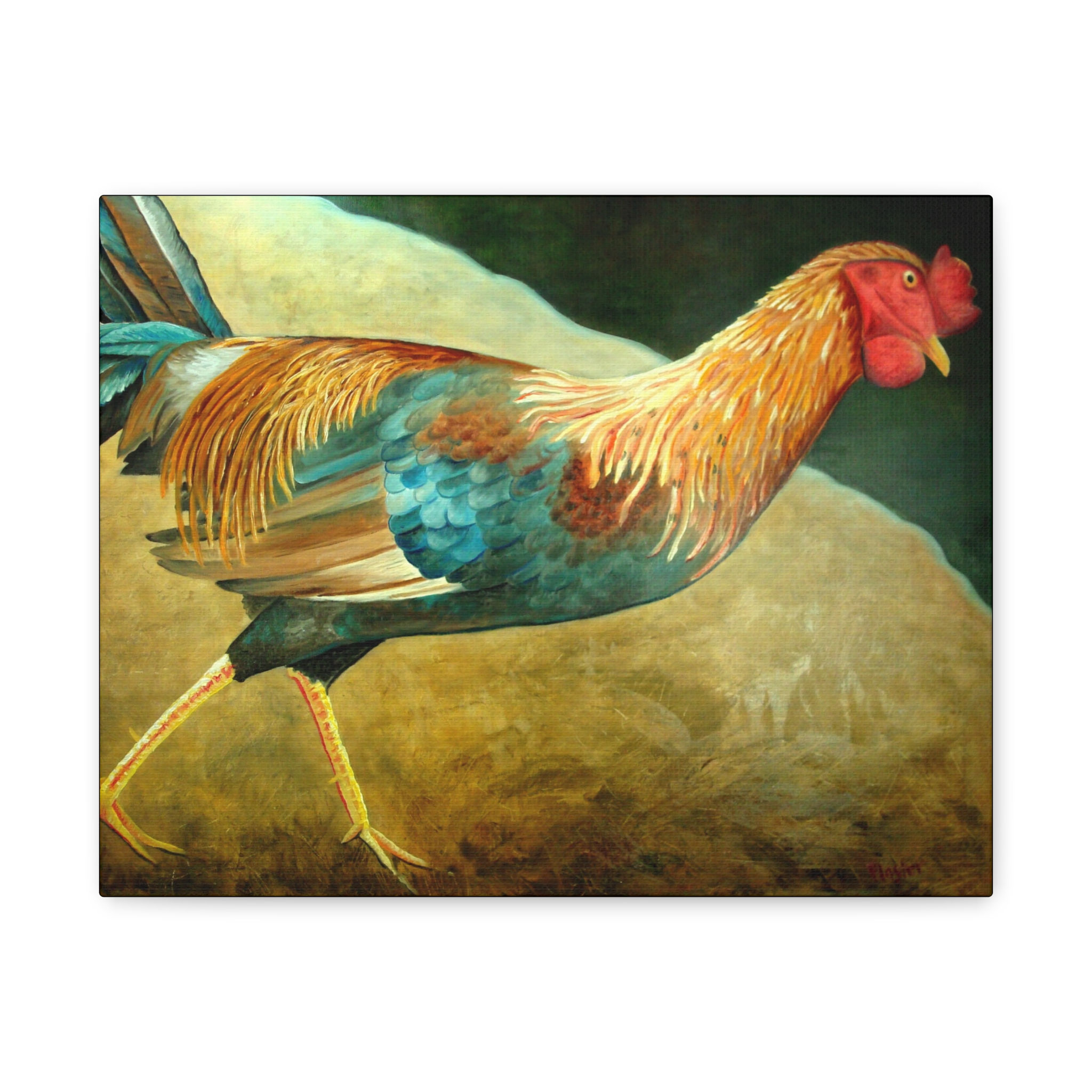 Running Rooster - Canvas