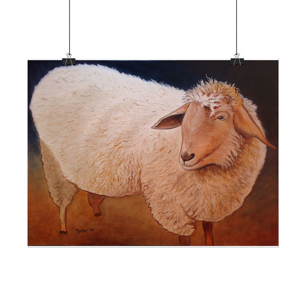 Thumbnail: Shaggy Sheep - Rolled Poster