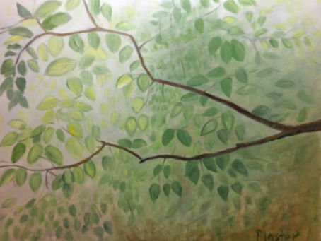 Dogwood