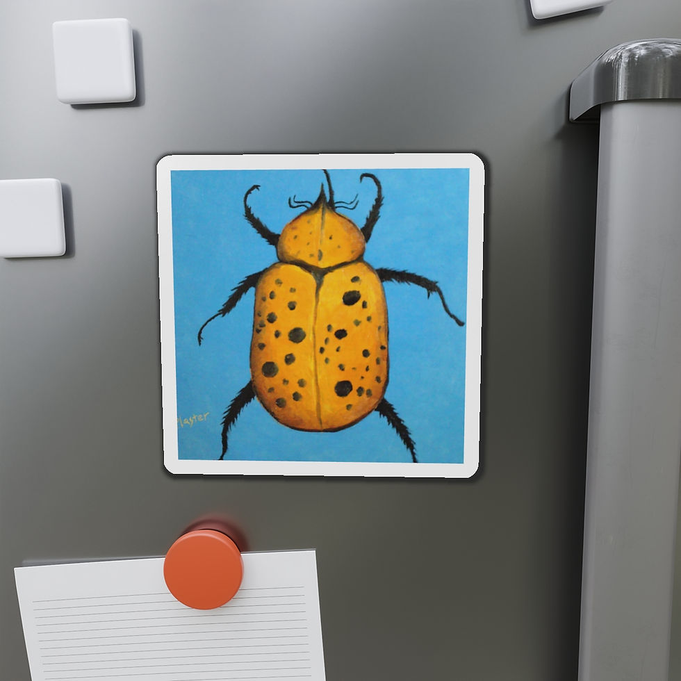 Thumbnail: Beedles John (1 of 4) - Magnet