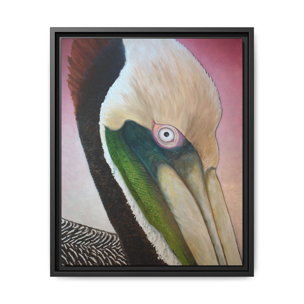 Thumbnail: Pelican Peeking - Framed Canvas Print