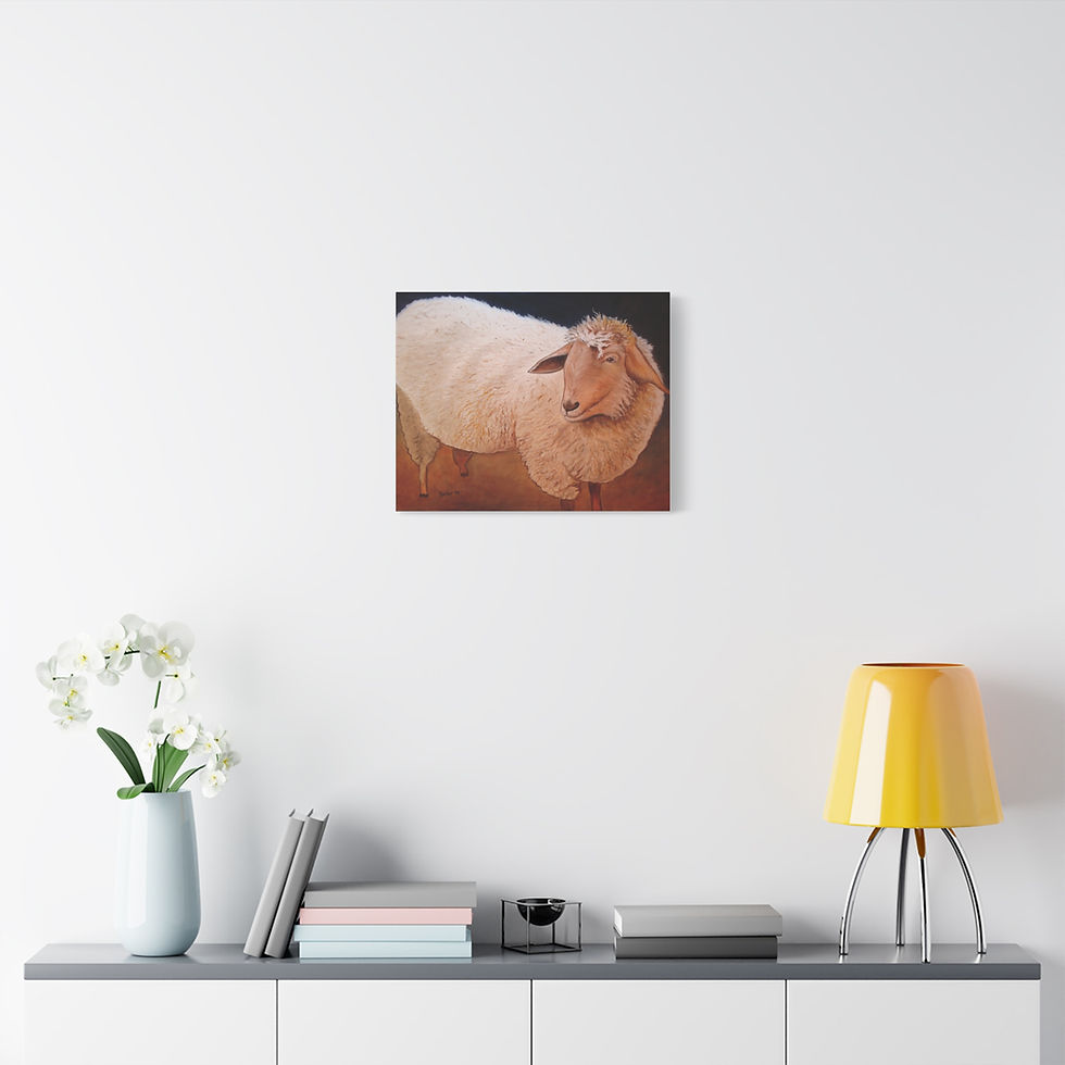 Thumbnail: Shaggy Sheep - Canvas