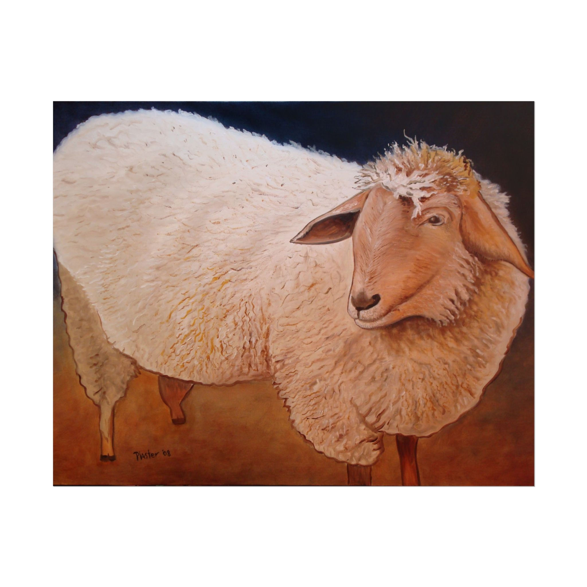 Shaggy Sheep - Rolled Poster
