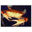Thumbnail: Crab in Space - Jigsaw Puzzle