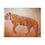 Thumbnail: Mystic Tiger - Canvas
