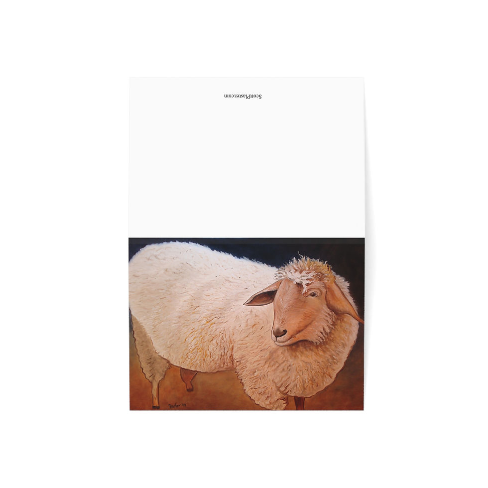 Thumbnail: Shaggy Sheep - Greeting Card