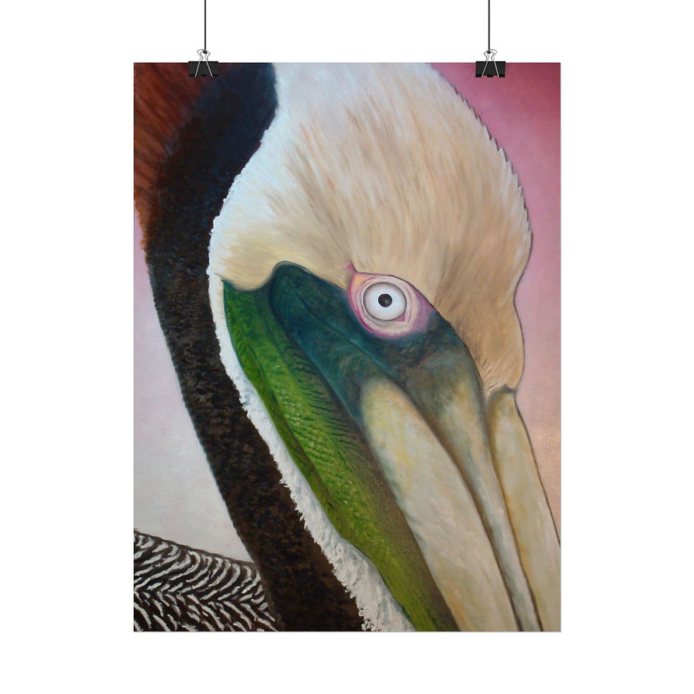Thumbnail: Pelican Peeking Rolled Poster