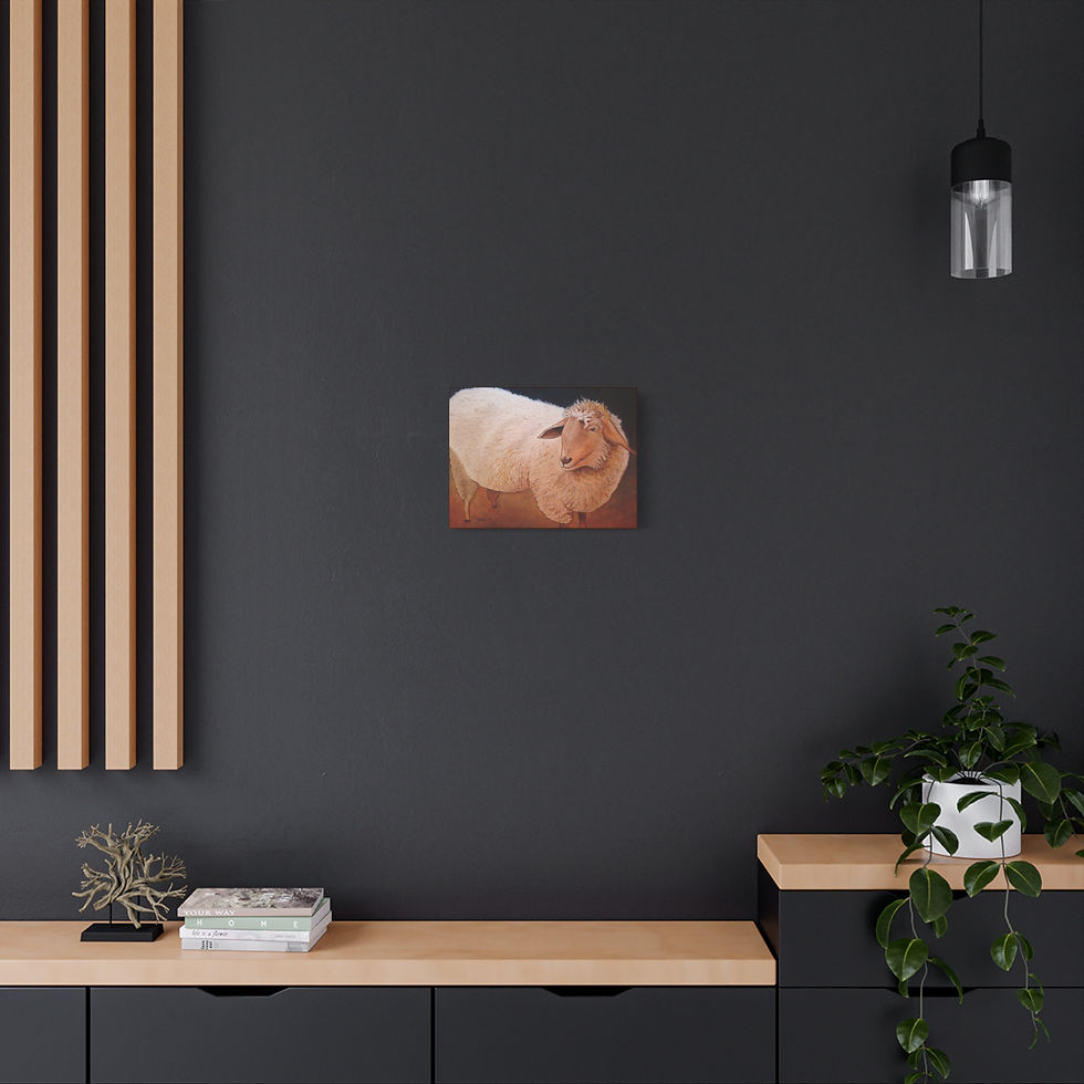 Thumbnail: Shaggy Sheep - Canvas