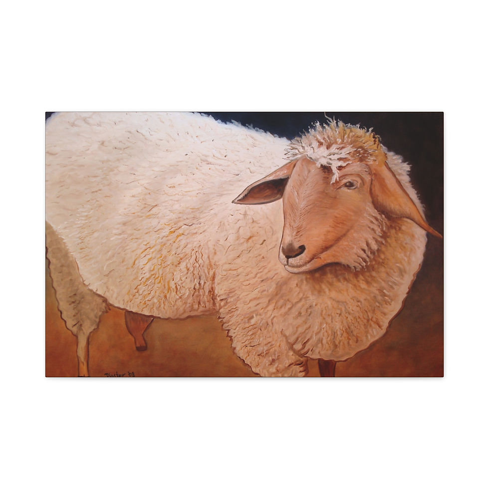 Thumbnail: Shaggy Sheep - Canvas