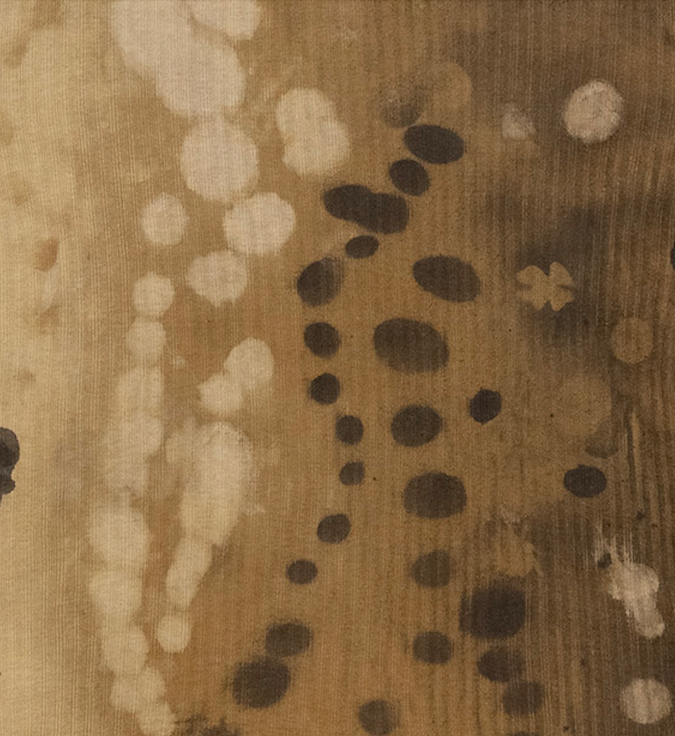 Thumbnail: Chapois top