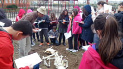 PALAEOLITHIC SITE