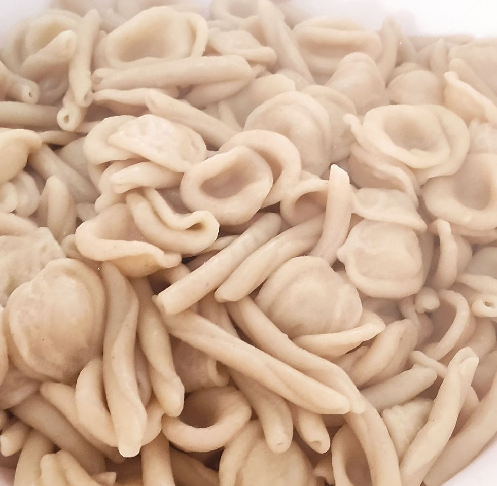 Miniatura: Pasta fresca of senatore cappelli  500 gr