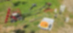 ree