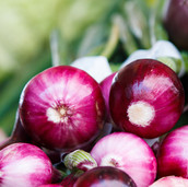 Onions