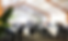 IMG_4030_edit.png