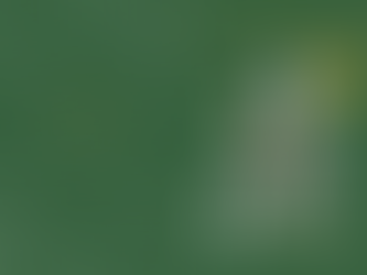 ANGELICA WINTER SPECIAL SALE 開催！最大25%OFFの冬限定企画