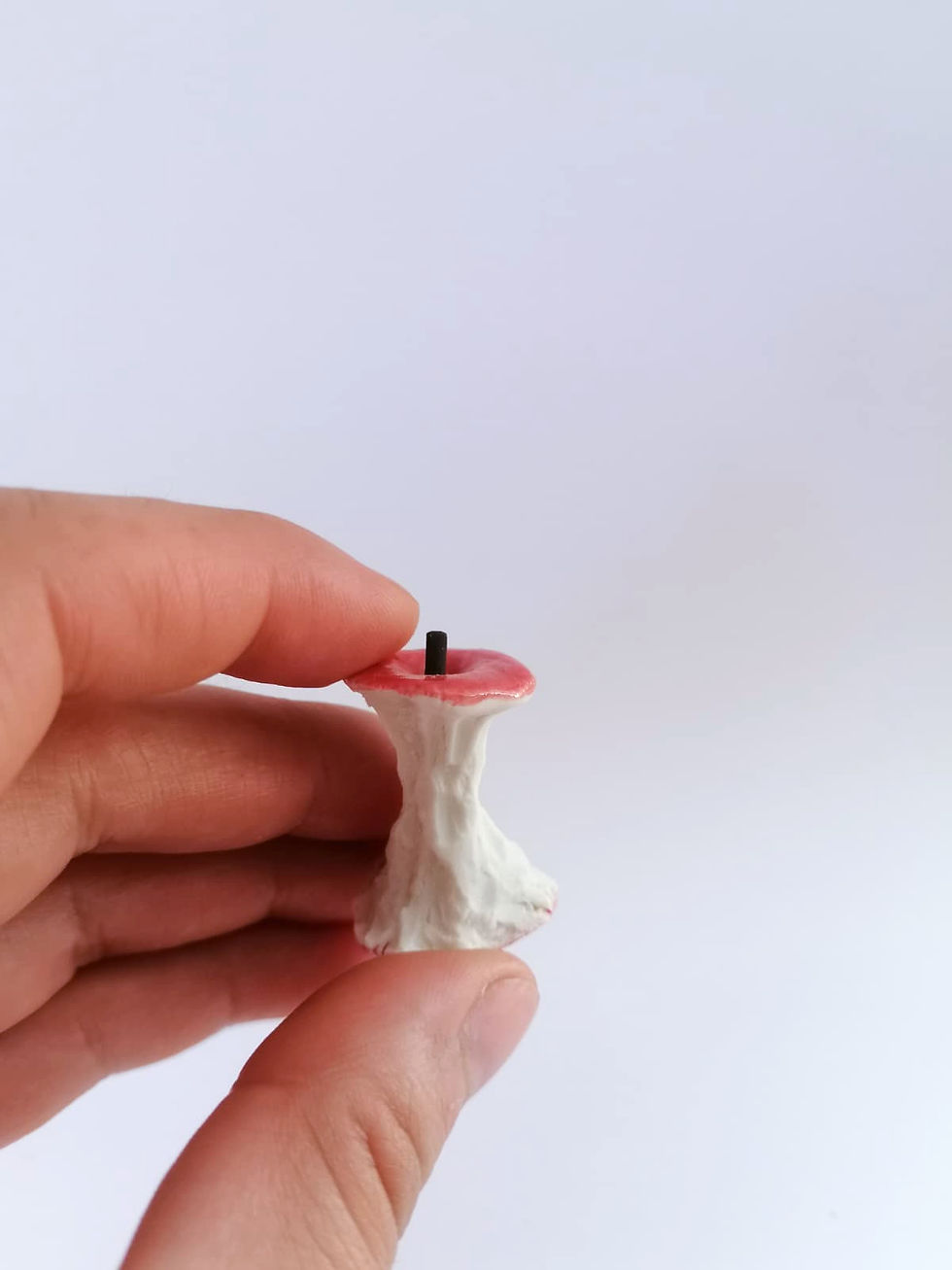 Miniatură: Cotor de măr- miniatură
