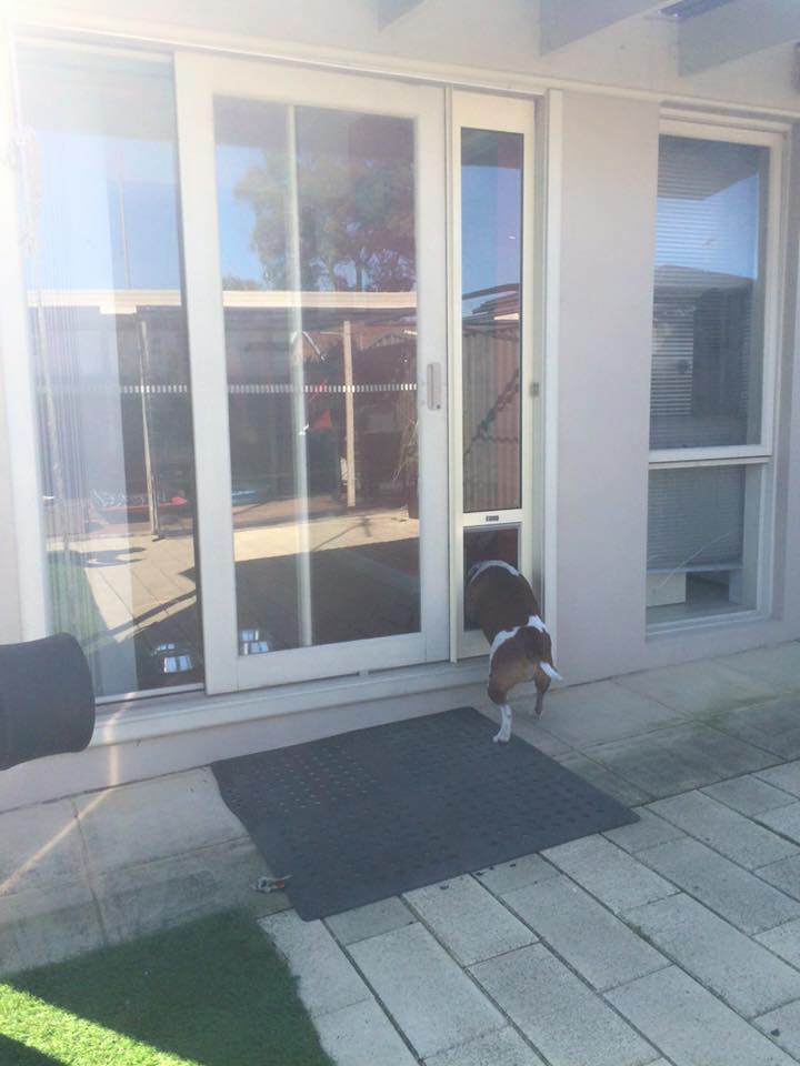 Patio Pet Door Inserts for Sliding Doors, Fully Lockable,Fast Delivery