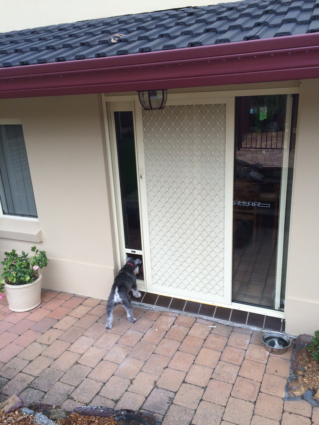 Patio Pet Door Inserts for Sliding Doors, Fully Lockable,Fast Delivery