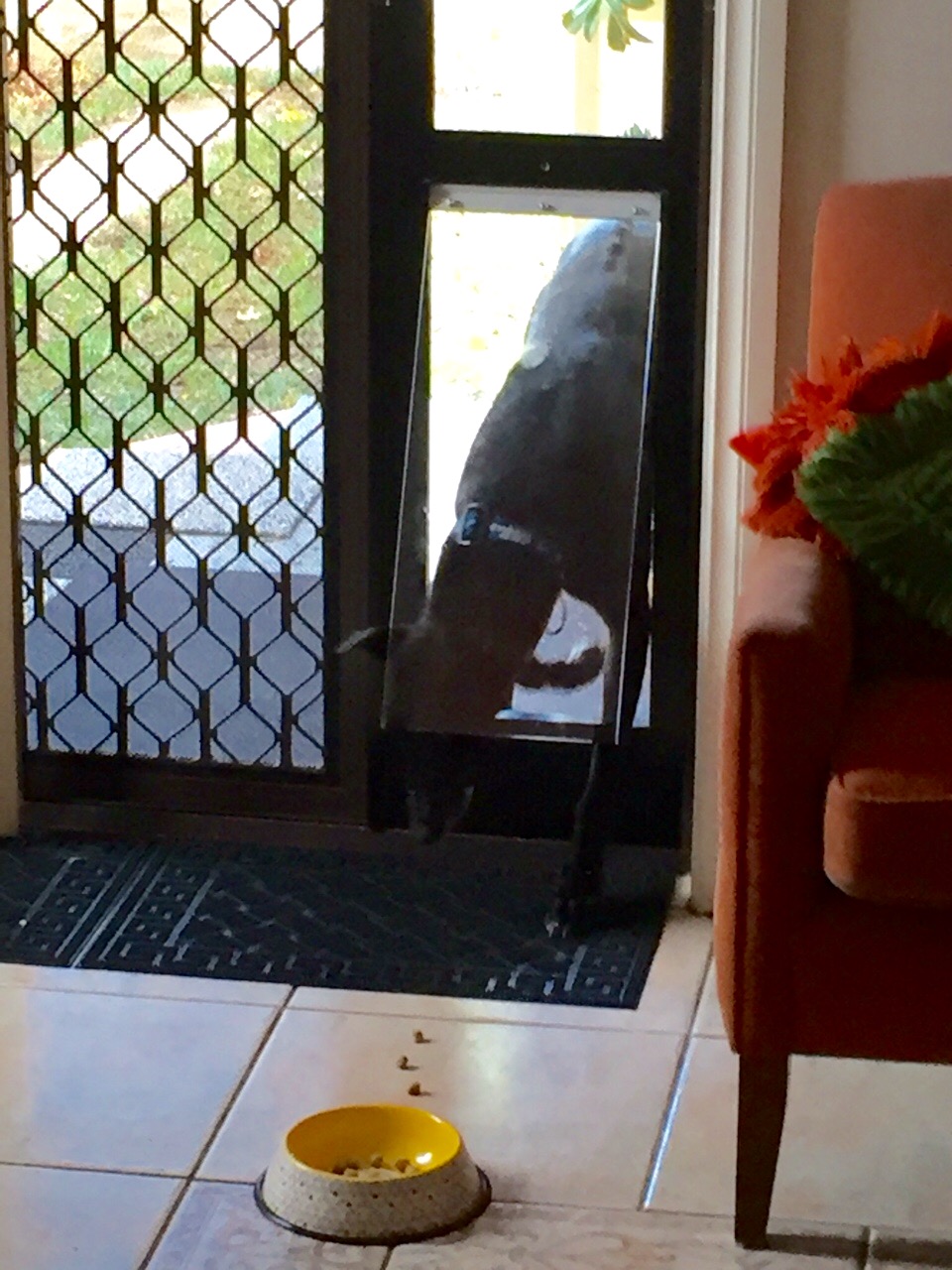 Patio Pet Door Inserts for Sliding Doors, Fully Lockable,Fast Delivery