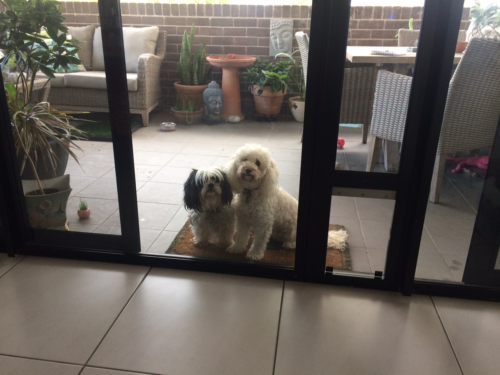 Patio Pet Door Inserts for Sliding Doors, Fully Lockable,Fast Delivery