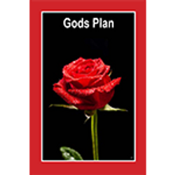 nl GP - Gods Plan - 150