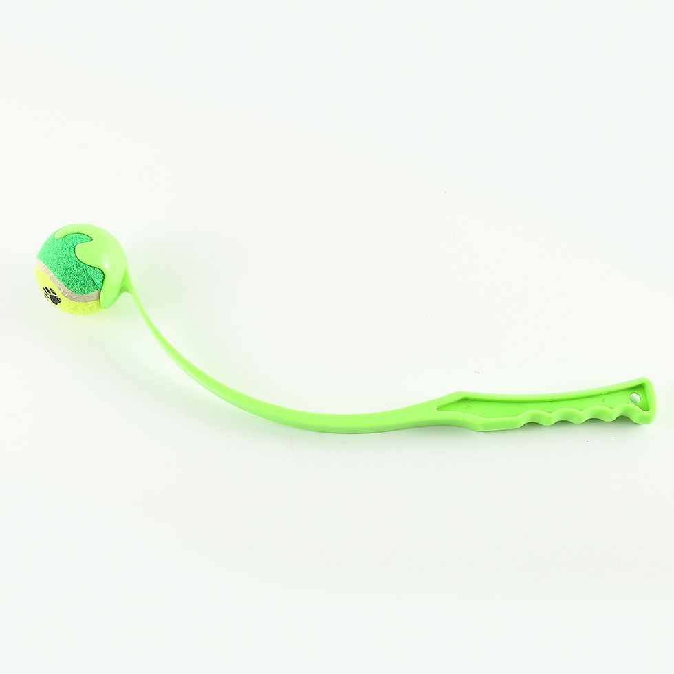 Thumbnail: Outdoor Pet Throwing Cue Dog Training Toy