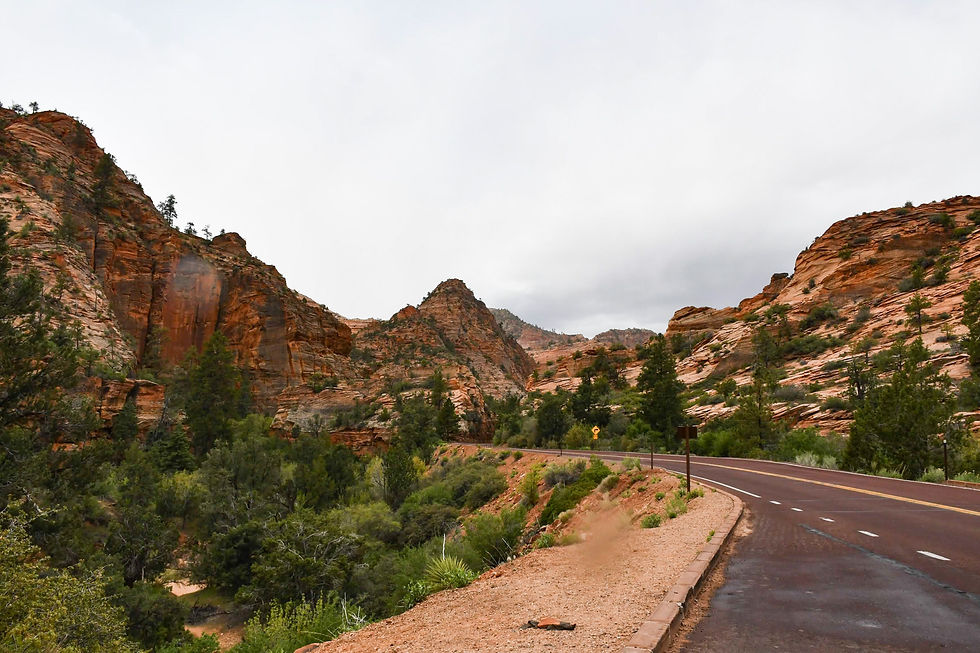 East Side Zion National Park