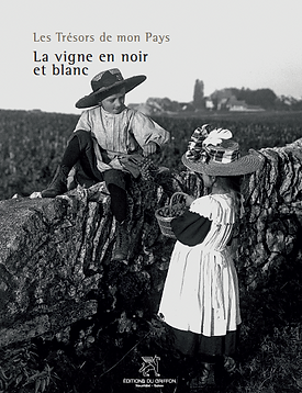 La vigne en Noir et blanc - Les Trésors de mon Pays