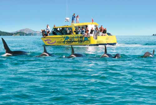 Playa de Paihia excursión en barca