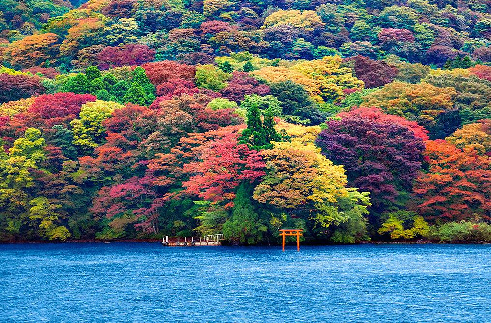 lago ashi