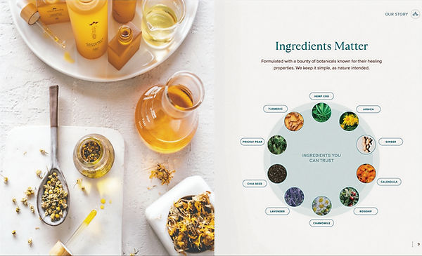 Screen Shot 2025-06-01 at 3.34_edited.jp