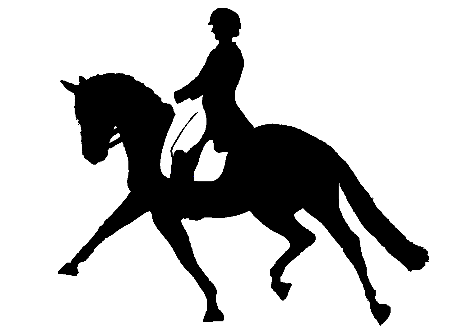 D98F43D3-3558-4CFA-8E75-4F109569C127.gif