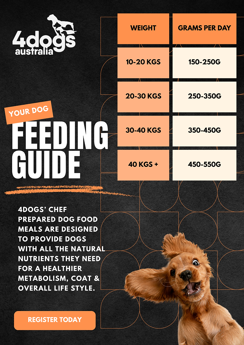 feeding guide (1).png