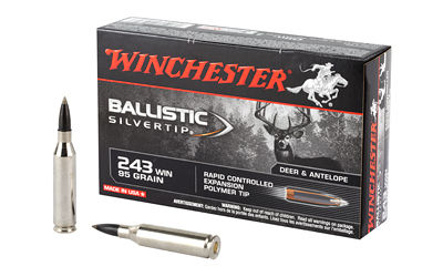 Winchester 243Win 95gr SilverTip