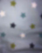 IMG_0857.jpeg